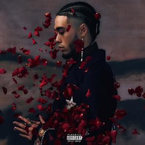 6567成人网站在线观看
