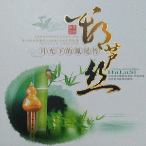 6567成人网站在线观看
