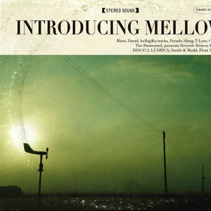 6567成人网站在线观看
