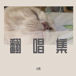 6567成人网站在线观看
