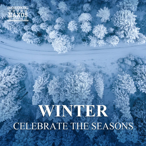 6567成人网站在线观看
